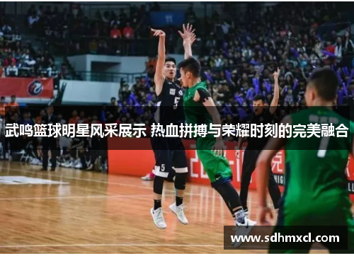 武鸣篮球明星风采展示 热血拼搏与荣耀时刻的完美融合