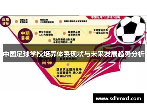 中国足球学校培养体系现状与未来发展趋势分析
